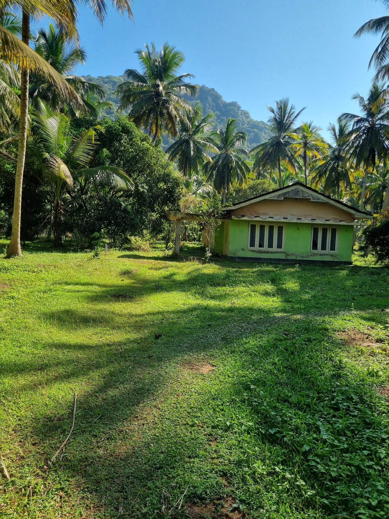 Coconut Lands for sale in Panduwasnuwara, Kurunegala — කුරුණෑගල හෙට්ටිපොළ - කටුපොත අතර පොල් ඉඩම විකිණීමට