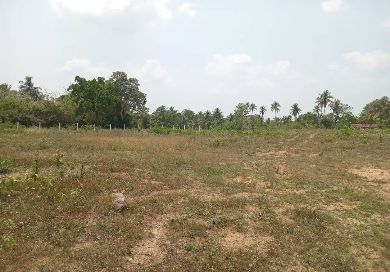 Bare Lands for sale in Kurunegala, Kurunegala — කුරුණෑගල අක්කර 4 ඉඩම