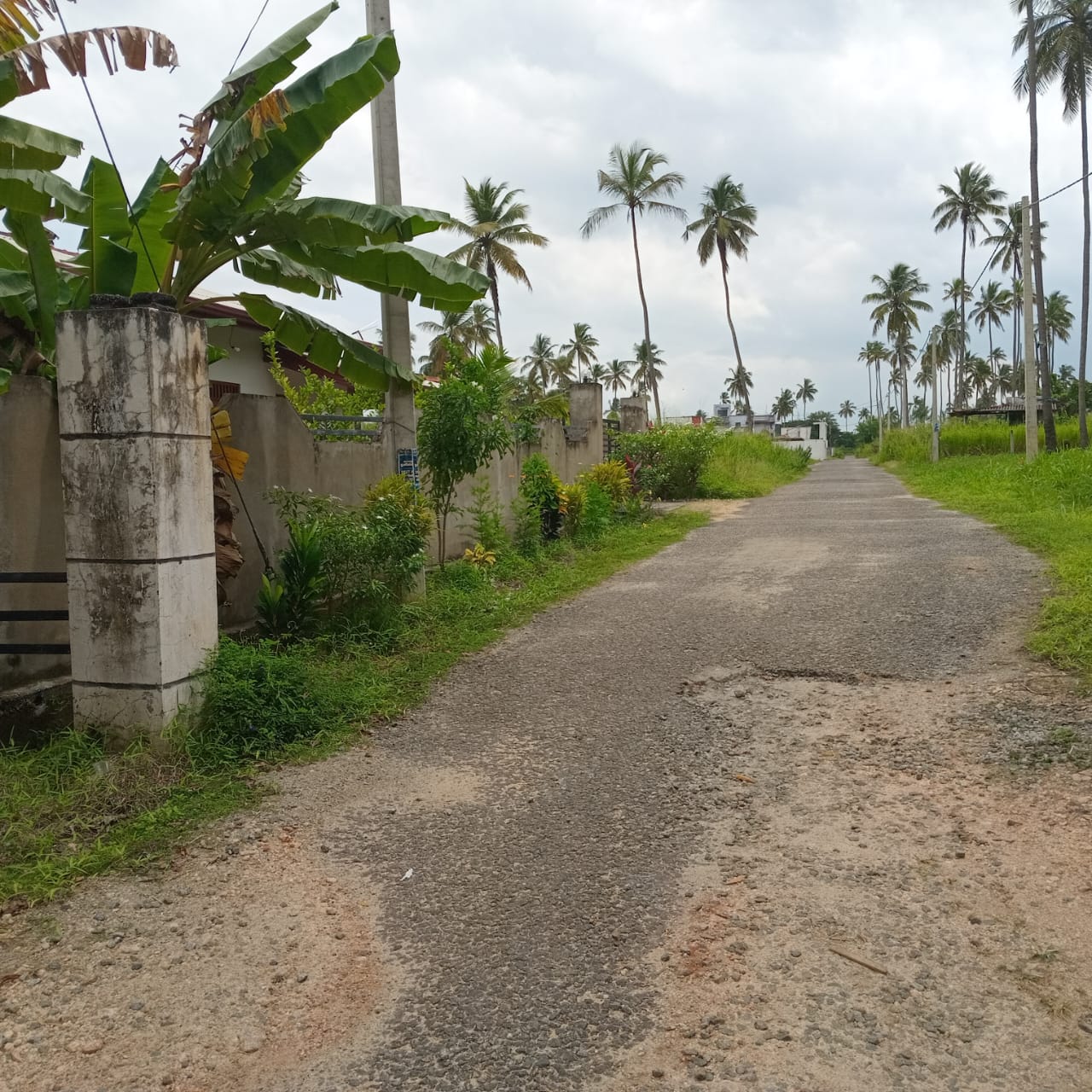 කුරුණෑගල පැල්ලන්දෙණියෙන් පර්චස් 16 විකිණීමට -  Pellandeniya land for sale